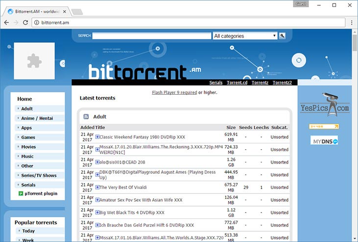 vst torrenting sites reddit 2021